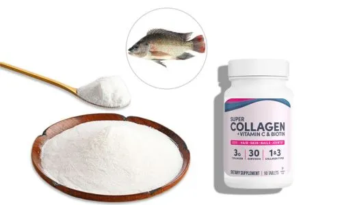 Hydrolyzed Fish Collagen: A Sustainable Source of Protein